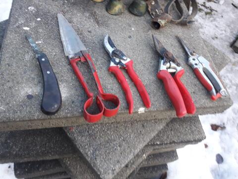 Klauenzangen und Ohrmarkenzangen