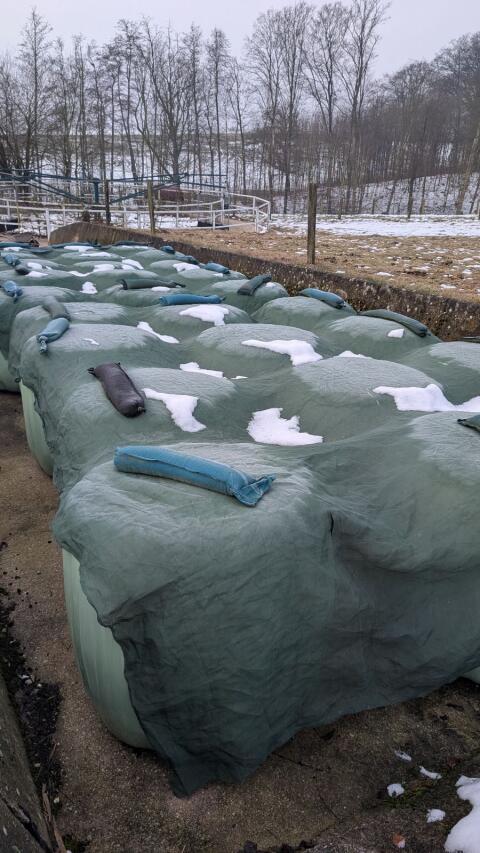 Top Silageballen