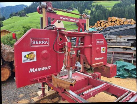 Lohnschnitt Bauholz bis 12 m