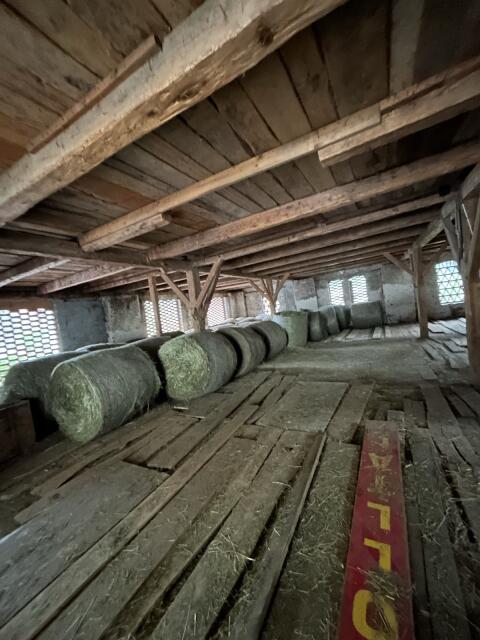 Heu und Grummet 2025