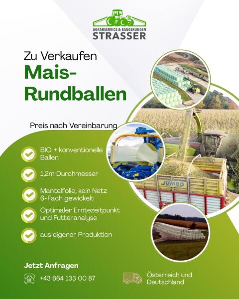 Maisballen zu verkaufen
