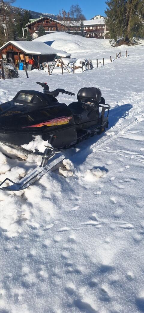 Ski-doo scandic 500wt