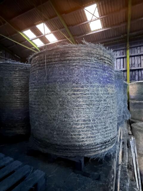 Heu Heuballen Rundballen Dm. 1,30m 1. Schnitt 2025 BIO