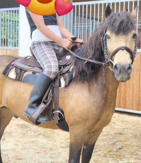 Pony Sattel Western