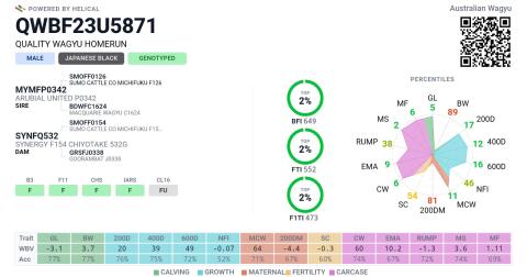 Top 2% Australien, Nr. 1 Europa