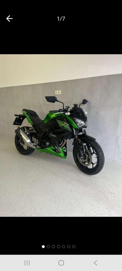 Kawasaki Z300 ABS Naked Bike