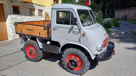 Unimog 401-411 Westfalia Froschauge 1366