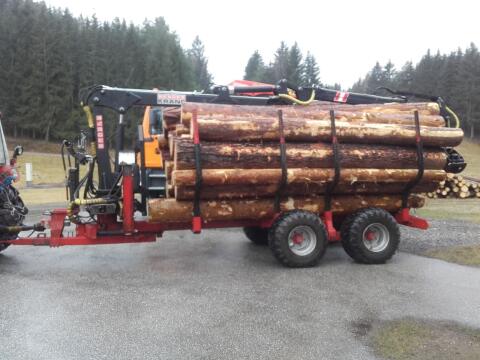 Berger Rückewagen, Kranwagen