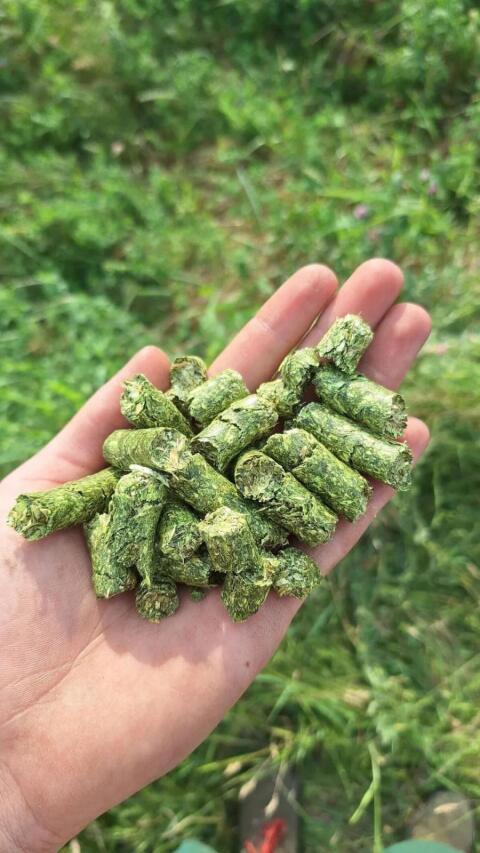 BIO Luzerne Pellets