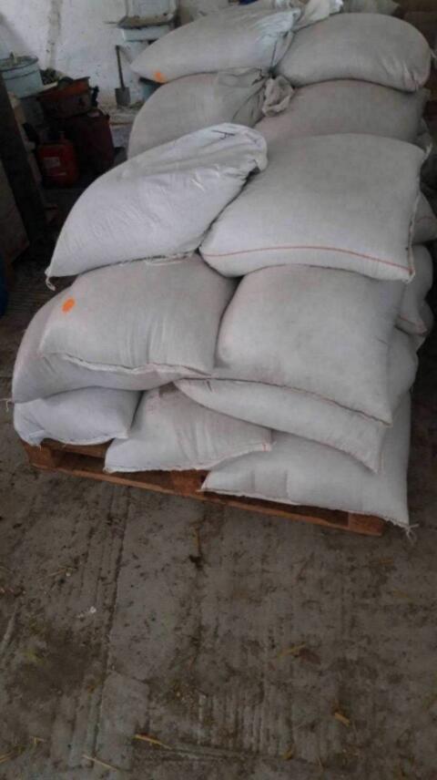 Futtergerste Top-Qualität