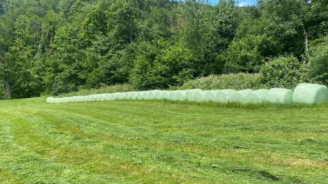 Siloballen zu verkaufen