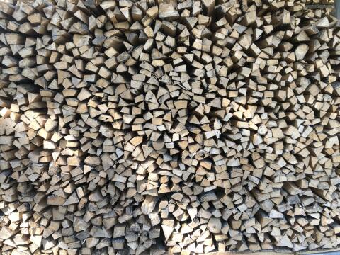 Brennholz Esche