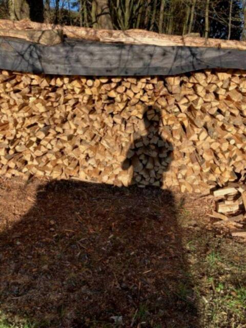 Hartholz Buche, Esche