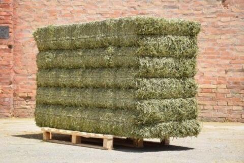 Verkaufe 4 stk Luzerne Ballen.