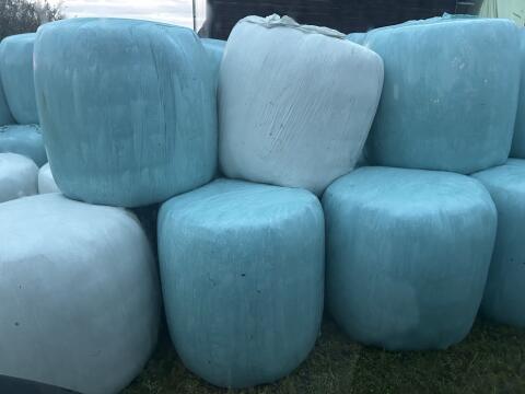 Siloballen erster und zweiter Schnitt 2025