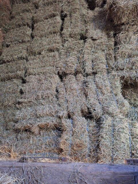 Heu unbergnet, ampferfrei