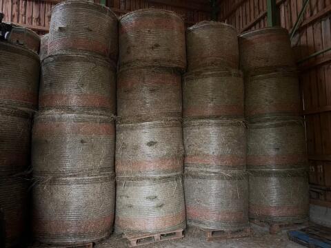 Heu Heuballen Rundballen 1,60 m BIO 1. Schnitt Ernte 2025