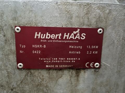 Enthaarungsmaschine für Schweine