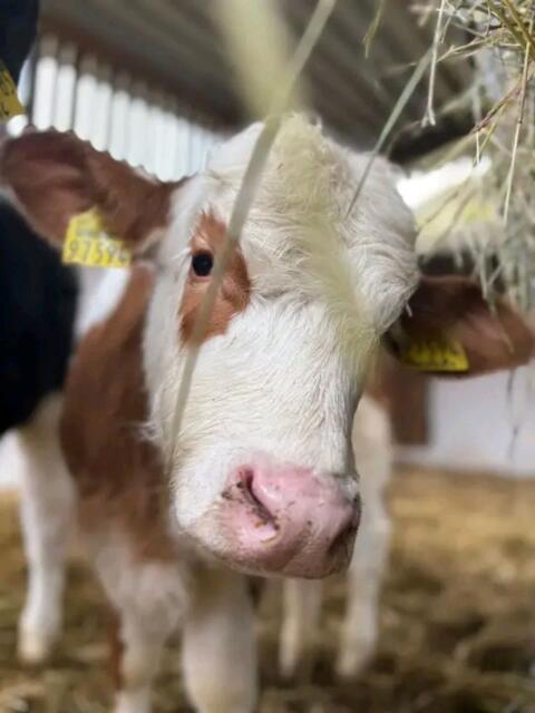 Motivierter junger Mann sucht saisonale Arbeit