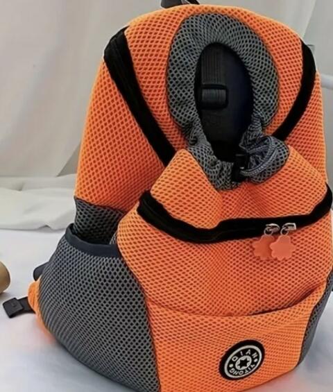 Rucksack für einen kleinen Hund