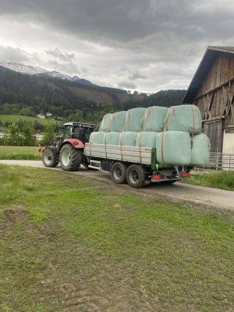 Maisballen Ernte 2025