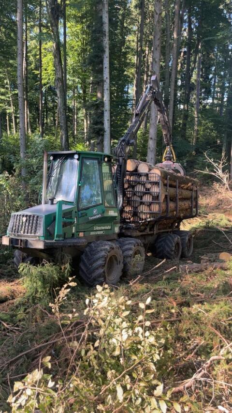 Timberjack 810B Forwarder / Rückezug