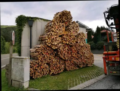 Brennholz Esche, Birke, Erle usw.