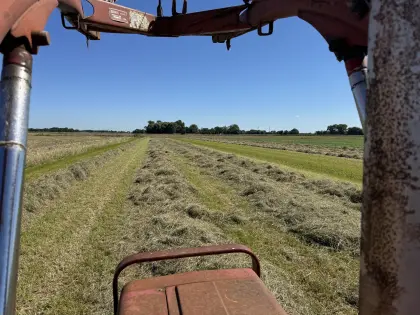 Kleine HD-Ballen Heu von 2024 und 2025