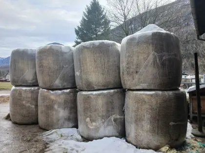 Siloballen 1. Schnitt 2025