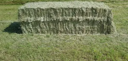 Heu-Großballen Quader Grummet