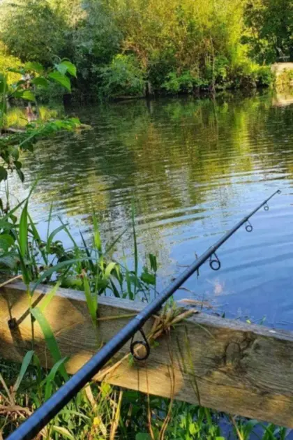 Suche Fischteich zu pachten