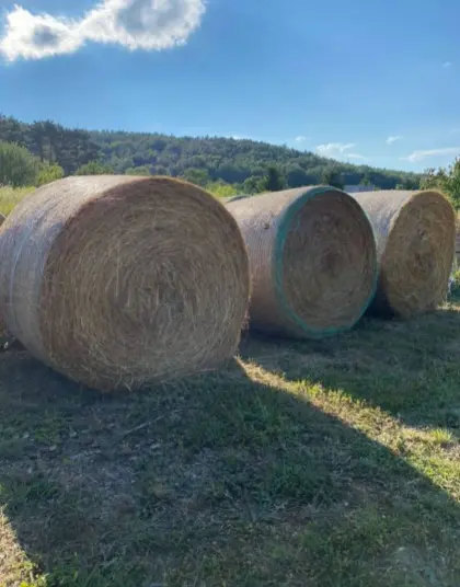 Bio-Heuballen