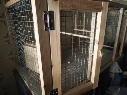 Vogelkäfig abzugeben