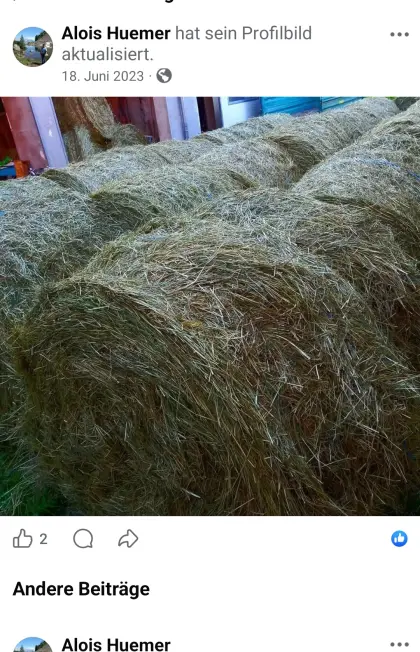 Heurundballen in Top-Qualität