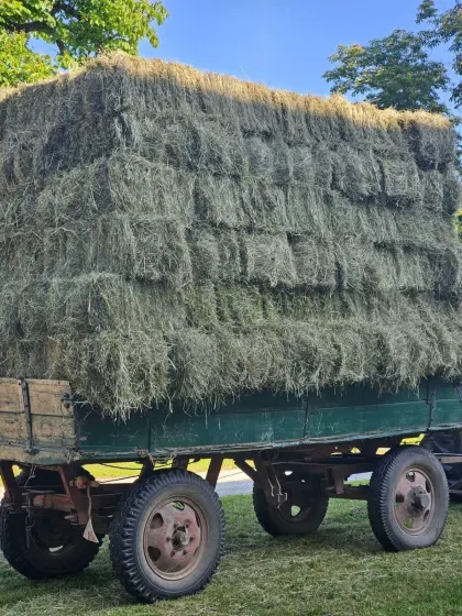 198 Stk. Heu in Kleinballen