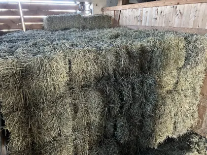 Heuballen 2. Schnitt 2025