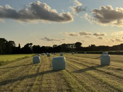 Heulage in Rundballen