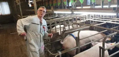 Job gesucht als Tierwirt auch im Ausland