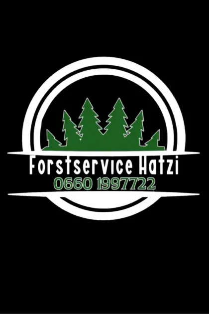 Holzschlägerungen, Bringung