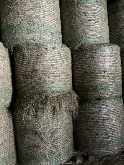 Heuballen zu verkaufen