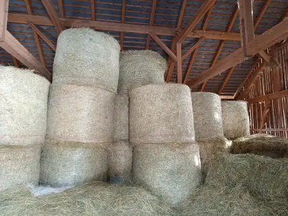 Bio-Heuballen rund