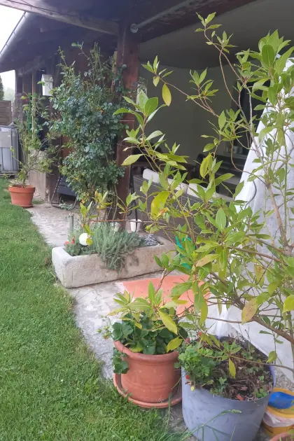 Vergebe kleine Wohlfühloase teilmöbliert mit Tierhaltung möglich