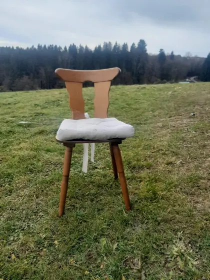 Sessel mit Auflage 140 Stk.