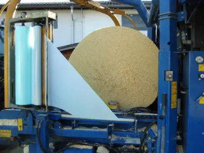 Maiskornsilage, Musmaisballen, CCM