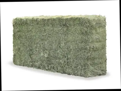 Heuballen Quaderballen 1. Schnitt 2025, ampferfrei, belüftet