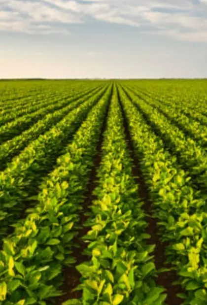 Suche Ackerpachtflächen