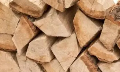 Kaminholz, Brennholz