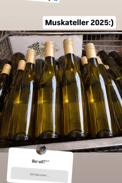 Muskateller 2025