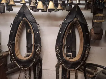 Pferdegeschirr
