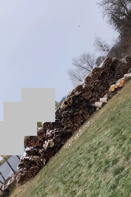 Hackschnitzel zum Hacken aus Schwarten und Spreißel